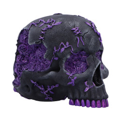Rose Geode Skull