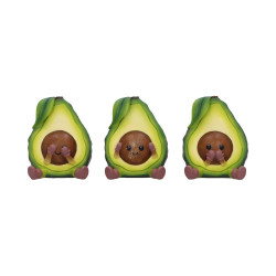 Three Wise Avocados