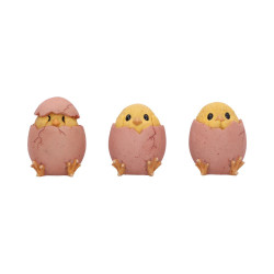 Three Wise Chicks