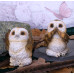 Three Wise Brown Owls 7.5cm