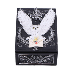 Owl Messenger Box 14cm