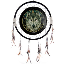 Dreamcatcher (Large) - Lisa Parker Wild One Wolf