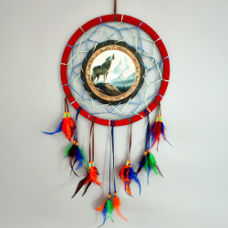 Dreamcatcher (Medium) - Mountain Wolf