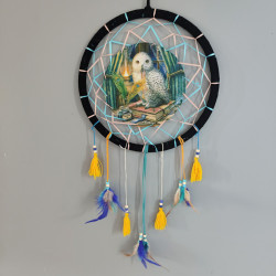 Dreamcatcher (Medium) - Lisa Parker Guardian of Spells Owl