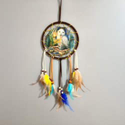 Dreamcatcher (Small) - Lisa Parker Guardian of Spells Owl