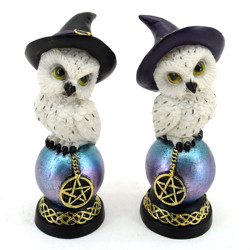 Wise Old Magical Owl - Iridescent Orb