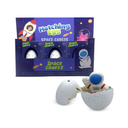 Hatching Egg Toy - Space Cadets