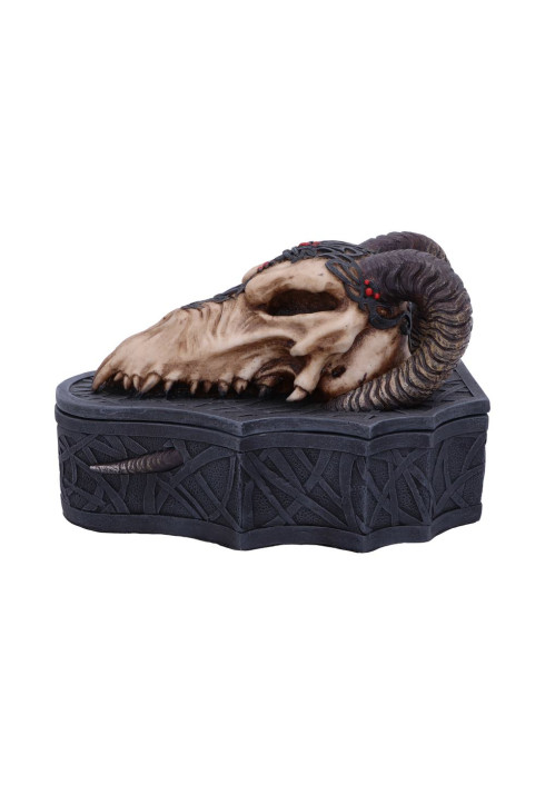 Dragon Skull Box (Monte Moore) 17.7cm