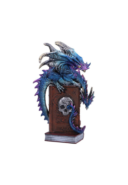 A Tale of Dragons 22cm